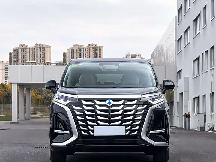 Фото 3 - Denza D9