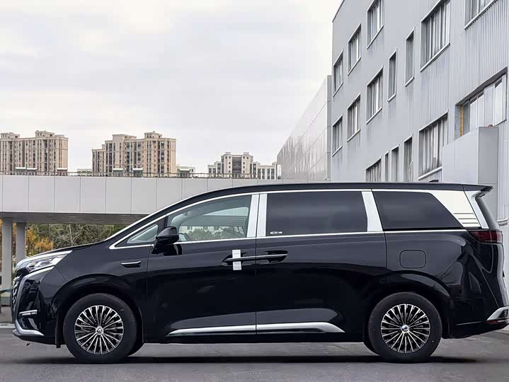 Фото 4 - Denza D9