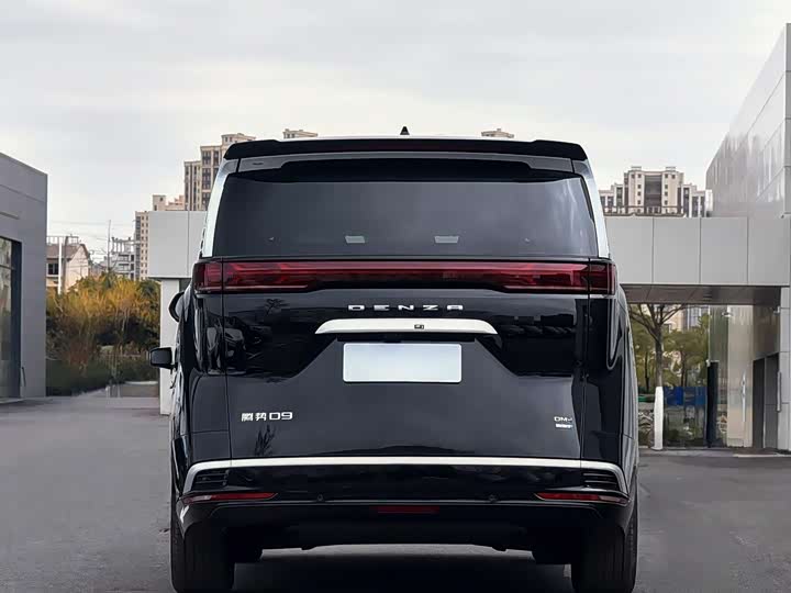 Фото 5 - Denza D9