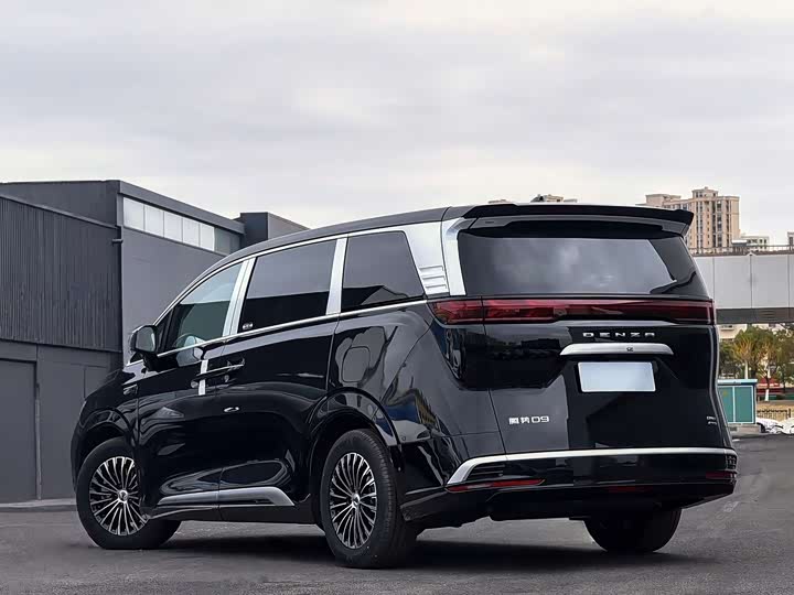 Фото 6 - Denza D9