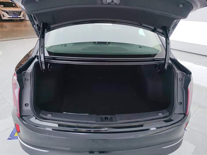 Фото 4 - Hongqi E-QM5