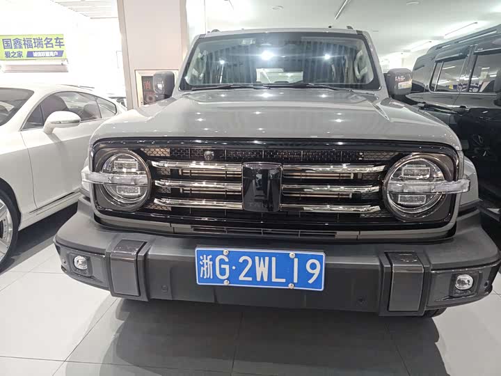 Фото 2 - Tank 300