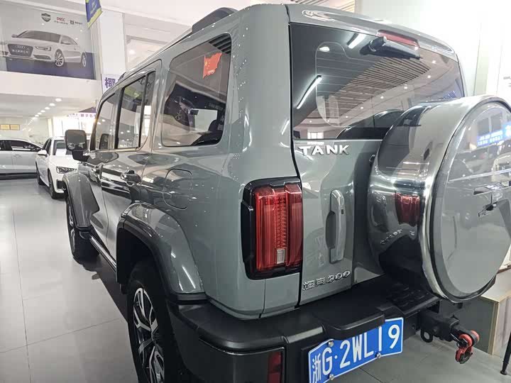 Фото 6 - Tank 300