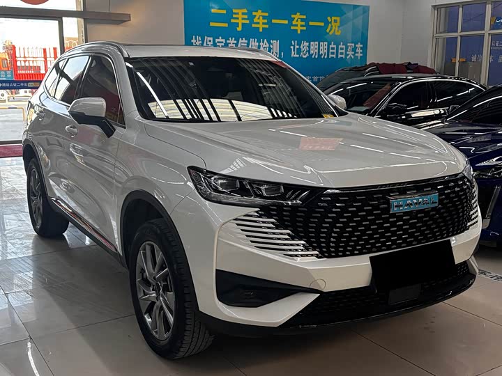 Фото 3 - Haval H6 Hybrid