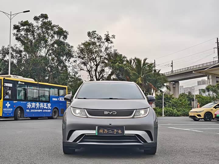 Фото 2 - BYD Dolphin