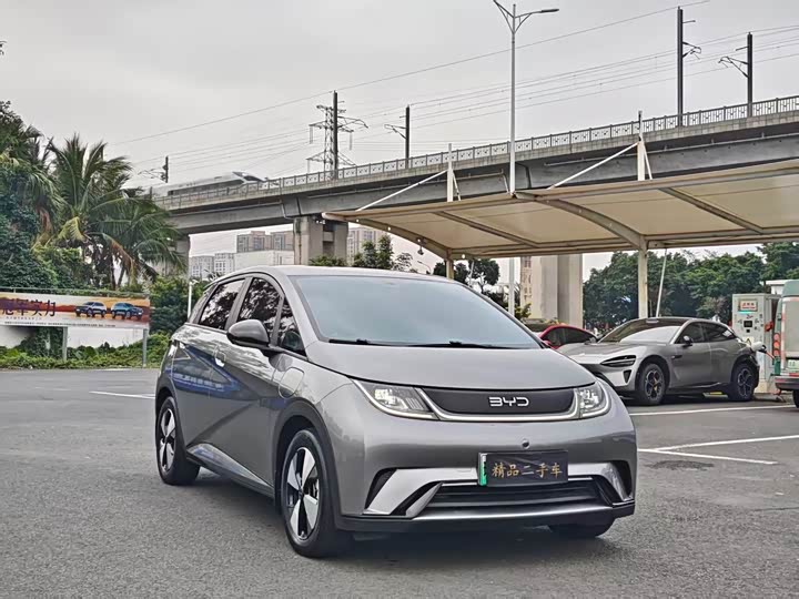 Фото 3 - BYD Dolphin