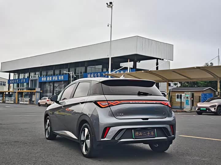 Фото 7 - BYD Dolphin