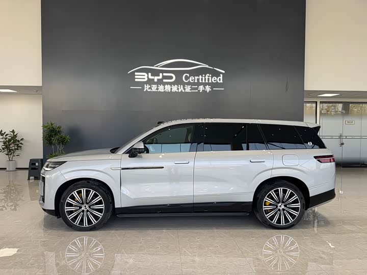 Фото 3 - Denza N9