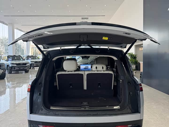 Фото 9 - Denza N9