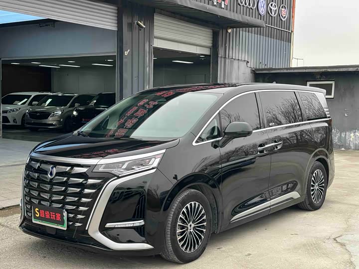 Фото 1 - Denza D9