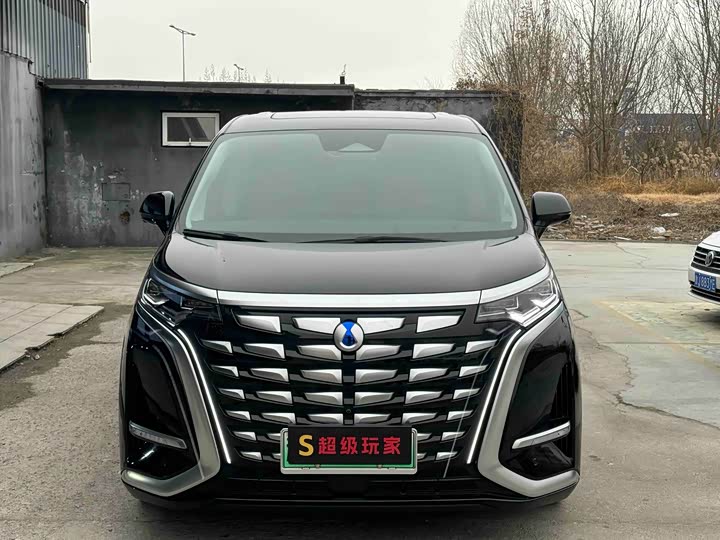 Фото 2 - Denza D9