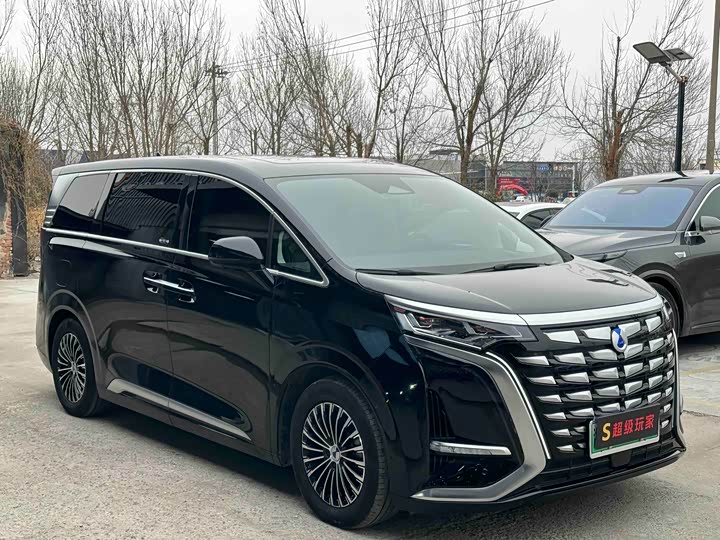 Фото 3 - Denza D9