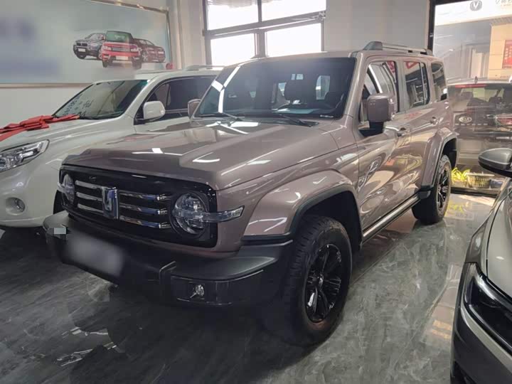 Фото 2 - Tank 300