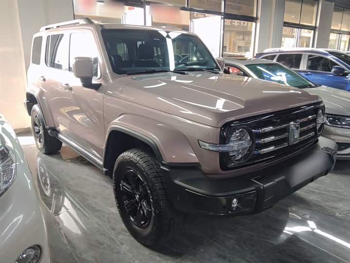 Фото 4 - Tank 300