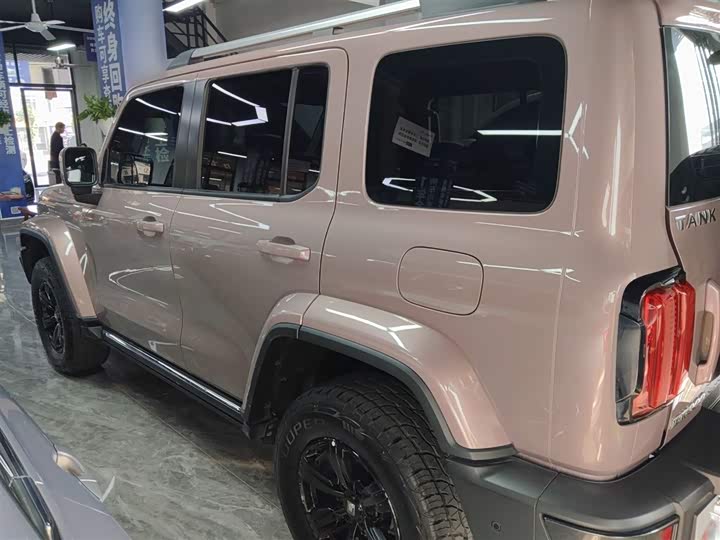 Фото 5 - Tank 300