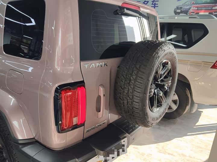 Фото 6 - Tank 300