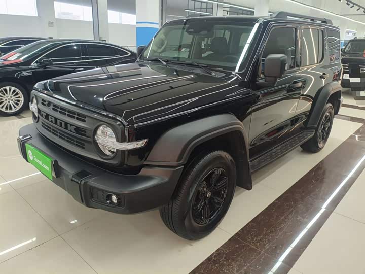 Фото 2 - Tank 300