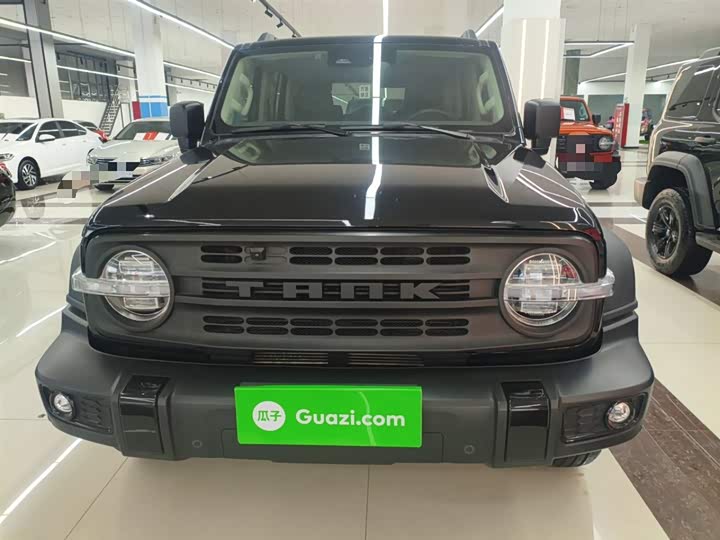 Фото 3 - Tank 300