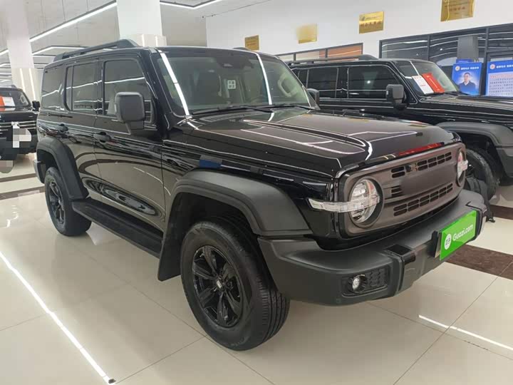 Фото 4 - Tank 300