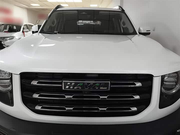 Фото 3 - Haval Dargo