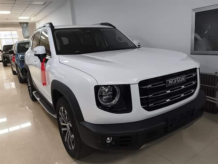 Фото 4 - Haval Dargo