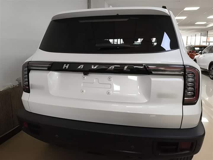 Фото 6 - Haval Dargo