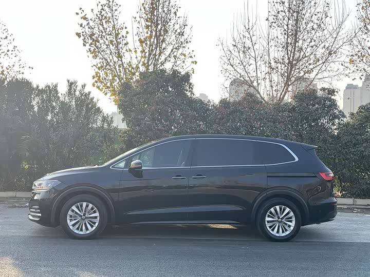 Фото 6 - Volkswagen Viloran