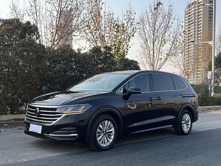 Фото 7 - Volkswagen Viloran