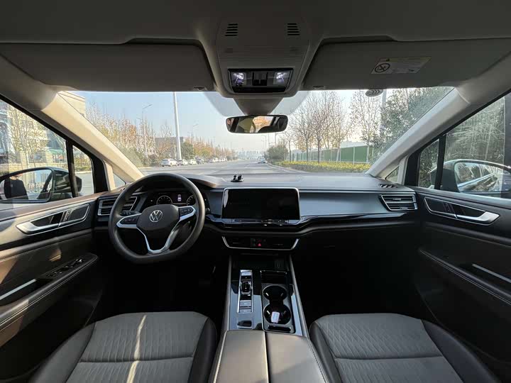 Фото 8 - Volkswagen Viloran