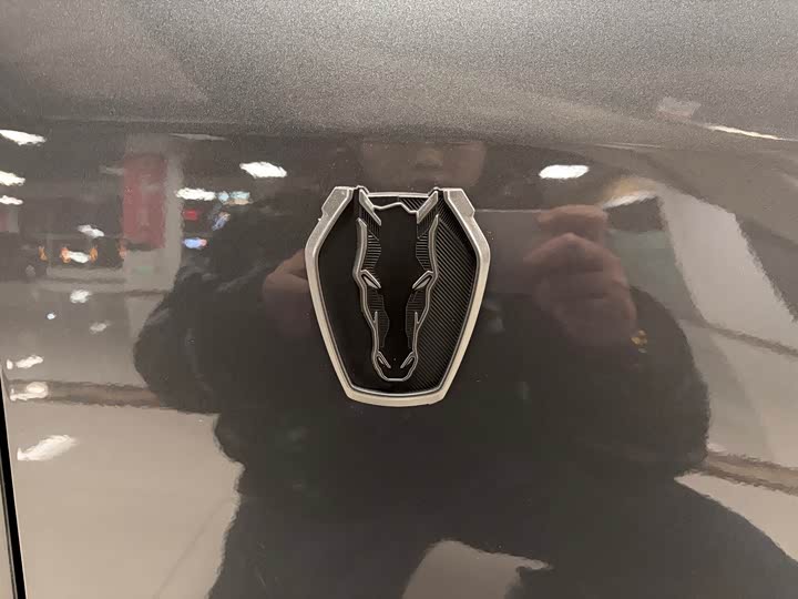 Фото 9 - Ford Mustang