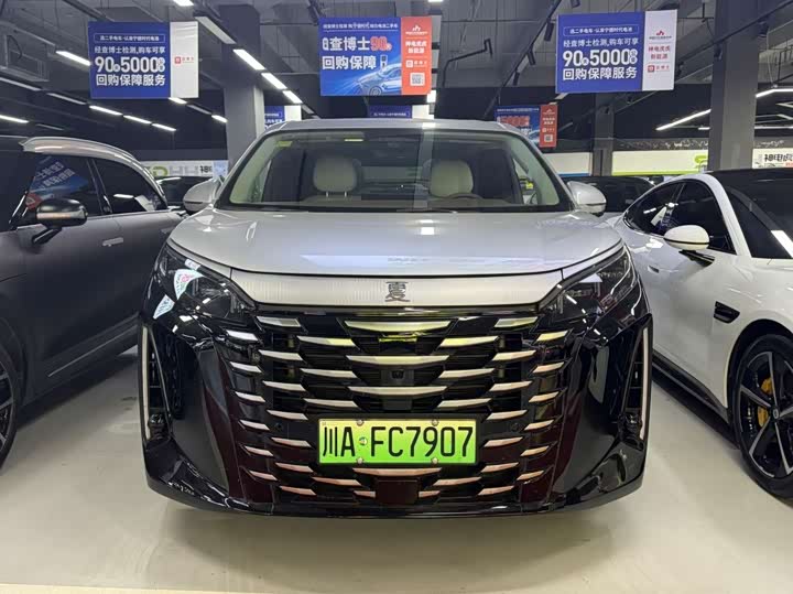 Фото 2 - BYD Xia