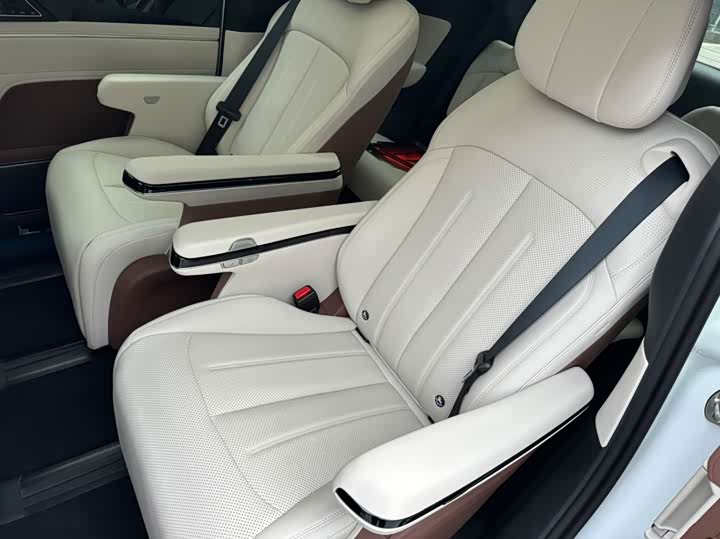 Фото 5 - BYD Xia