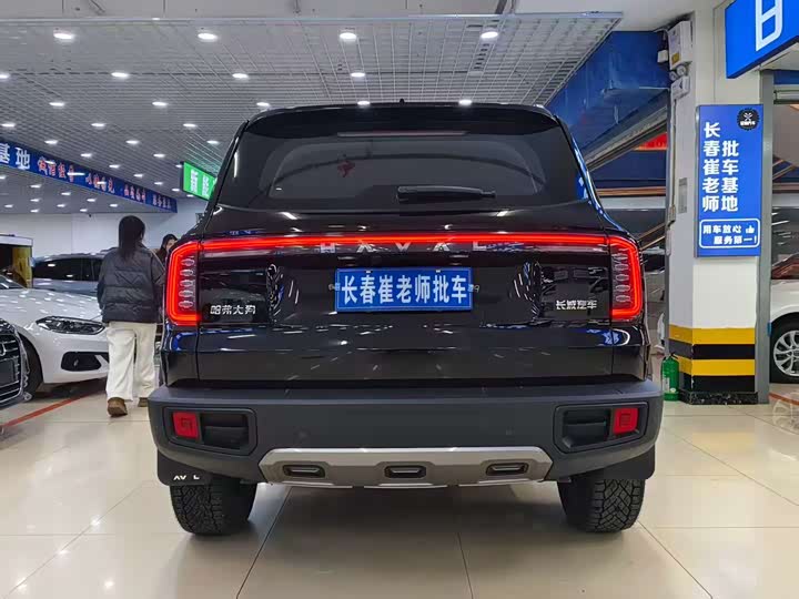 Фото 2 - Haval Dargo