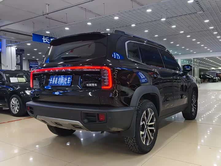 Фото 8 - Haval Dargo