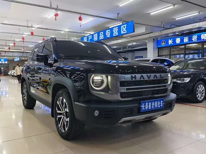 Фото 9 - Haval Dargo