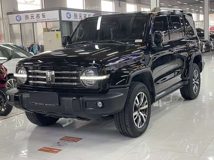 Фото 1 - Tank 300