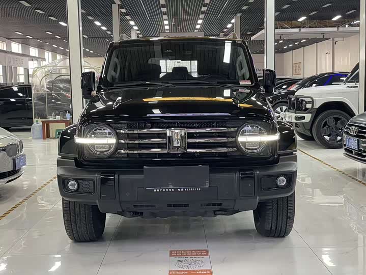 Фото 2 - Tank 300