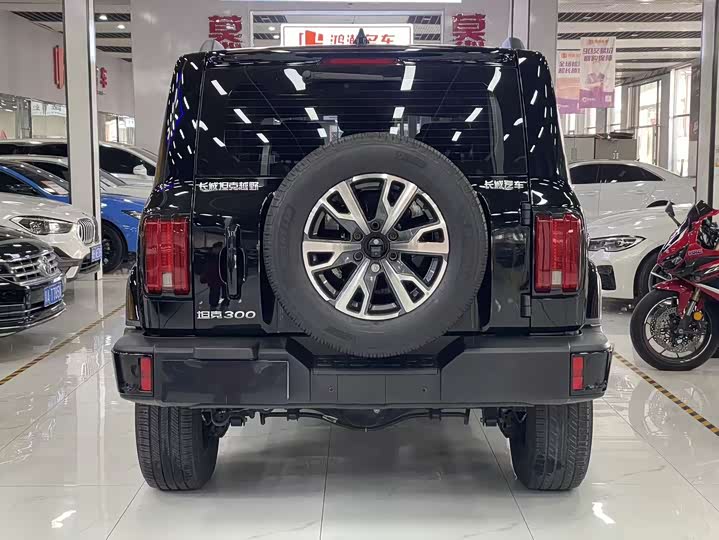 Фото 3 - Tank 300