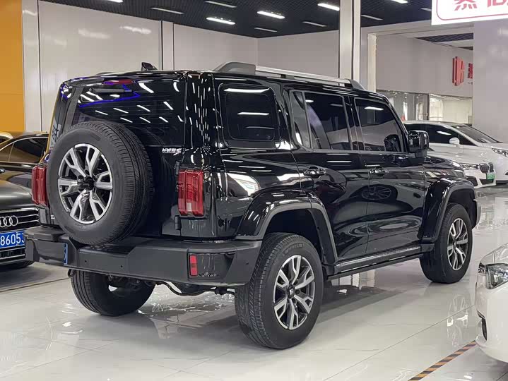 Фото 4 - Tank 300