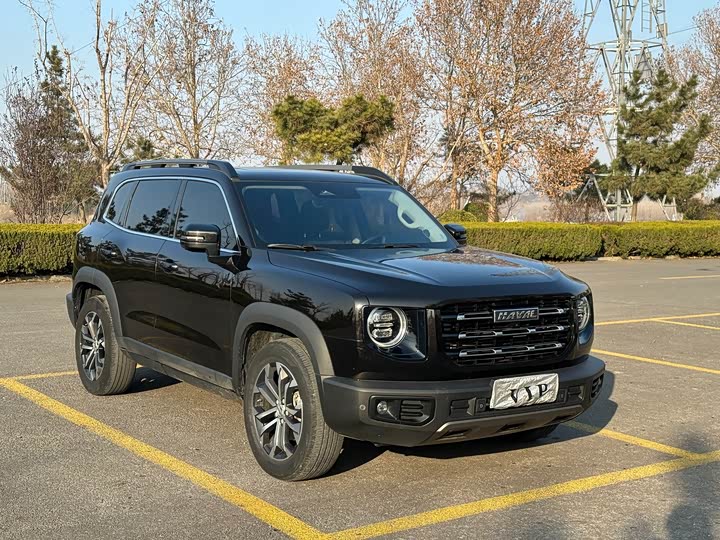 Фото 2 - Haval Dargo