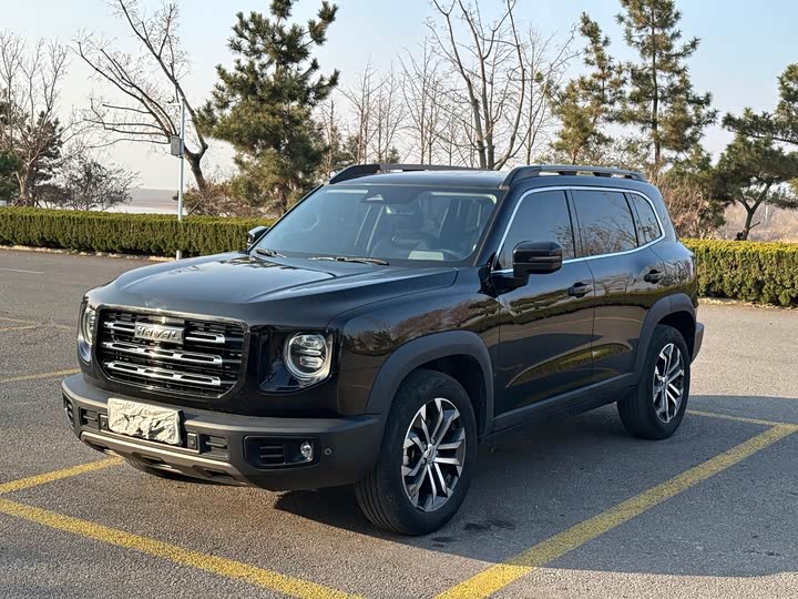 Фото 3 - Haval Dargo