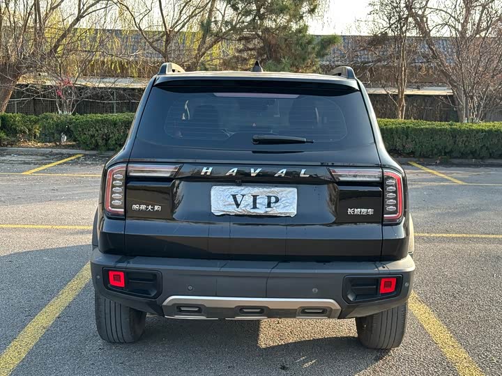 Фото 4 - Haval Dargo