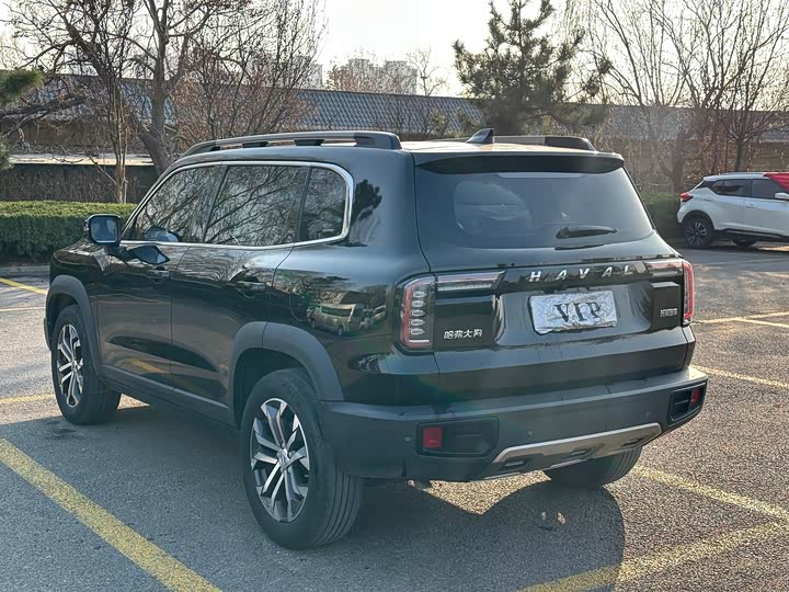 Фото 5 - Haval Dargo