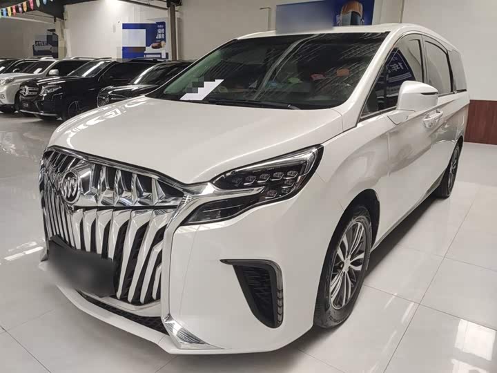 Фото 2 - Buick GL8 ES