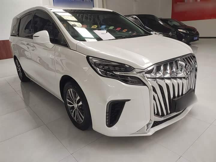 Фото 4 - Buick GL8 ES