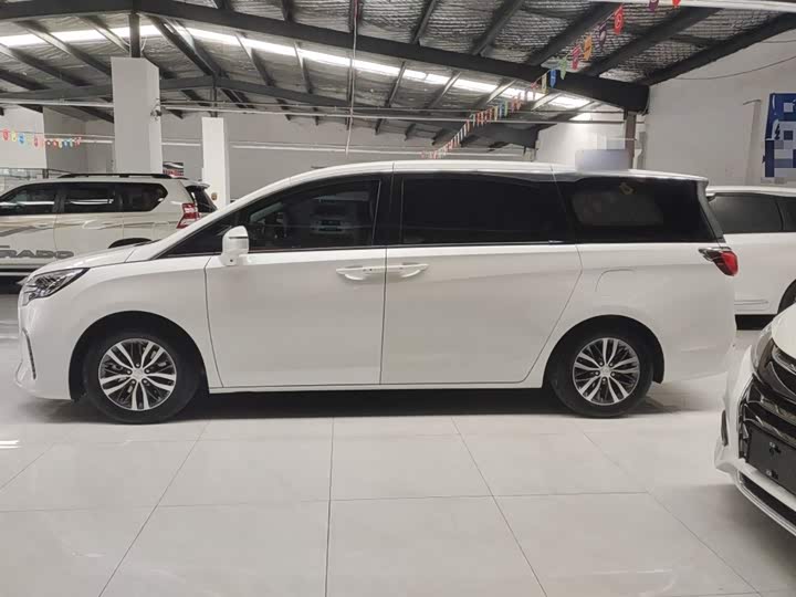 Фото 5 - Buick GL8 ES