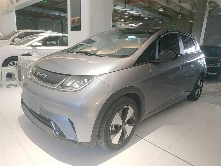 Фото 1 - BYD Dolphin