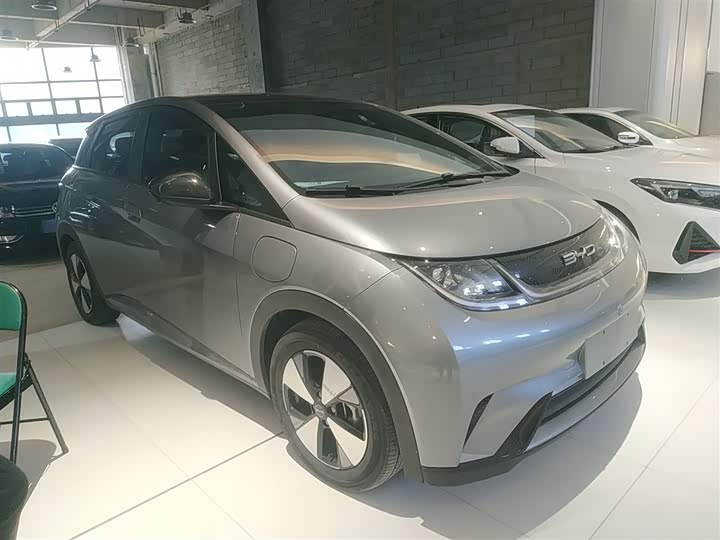 Фото 4 - BYD Dolphin