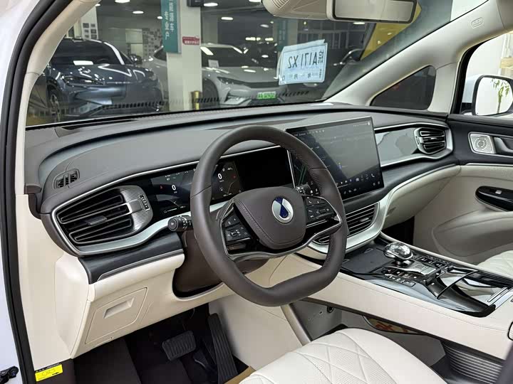 Фото 5 - Denza D9