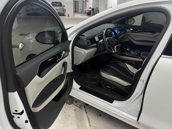 Фото 4 - BYD Qin Plus